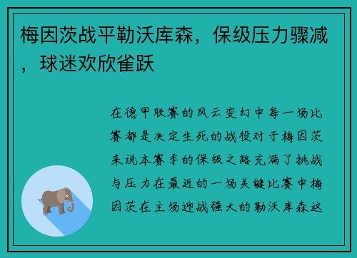 梅因茨战平勒沃库森，保级压力骤减，球迷欢欣雀跃