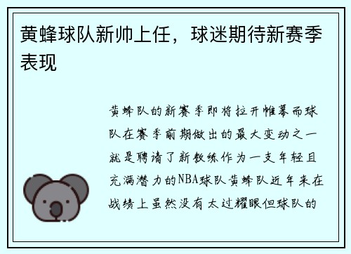 黄蜂球队新帅上任，球迷期待新赛季表现